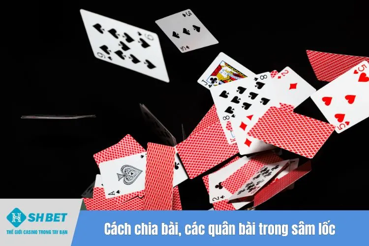 Cách chia bài, các quân bài trong sâm lốc