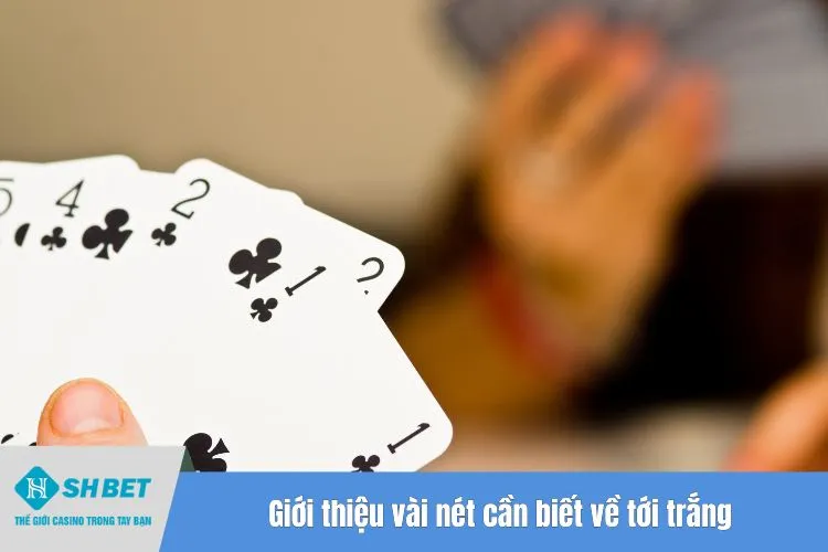 Giới thiệu vài nét cần biết về tới trắng trong game bài