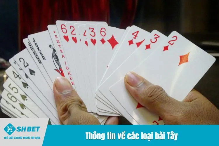 Thông tin về các loại bài Tây