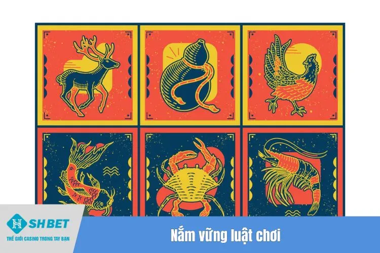 Nắm vững luật chơi