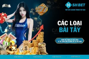 Các loại bài Tây - Tìm hiểu thông tin về bộ bài thú vị này