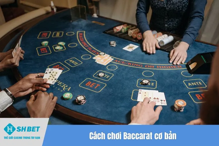 Cách chơi Baccarat cơ bản