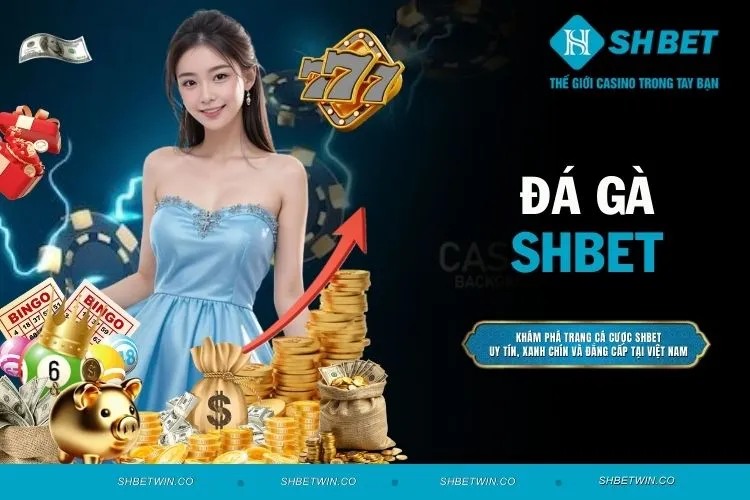 Đá Gà SHBET - Trải Nghiệm Mới Mẻ Đầy Kịch Tính Và Hấp Dẫn