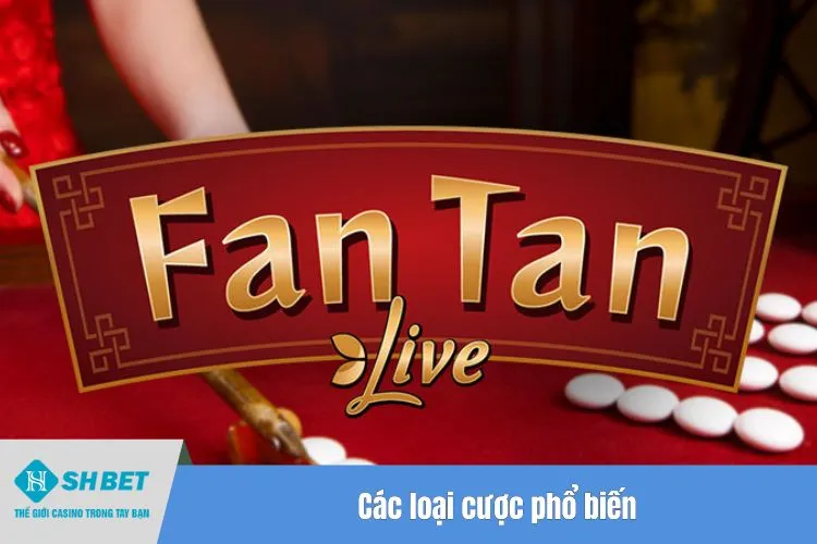 Các loại cược phổ biến