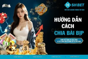 Hướng dẫn cách chia bài bịp giúp bet thủ luôn thắng lớn