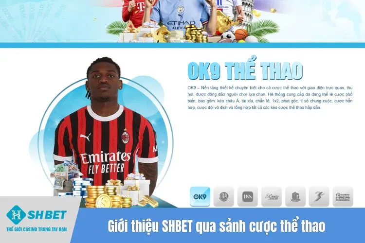 Giới thiệu SHBET qua sảnh cược thể thao