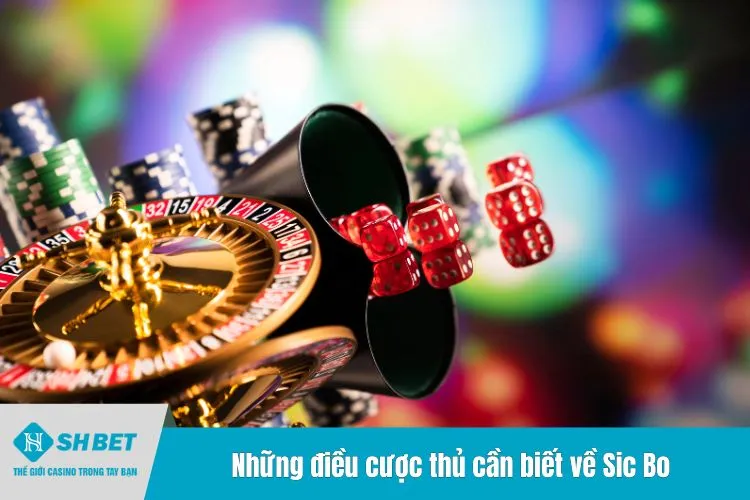 Những điều cược thủ cần biết về Sic Bo