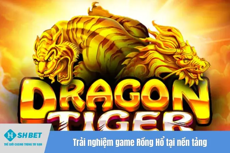 Trải nghiệm game Rồng Hổ tại nền tảng