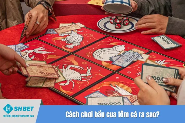 Cách chơi bầu cua tôm cá ra sao?