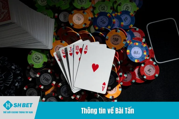 Thông tin về Bài Tấn