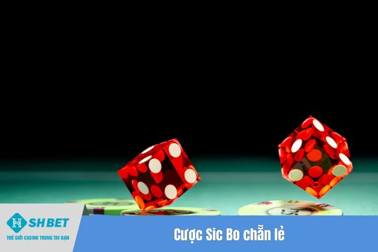 Cược Sic Bo chẵn lẻ