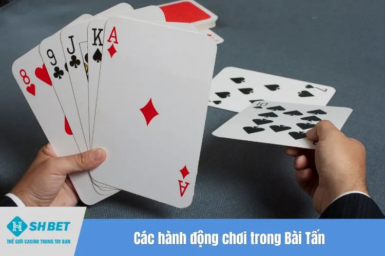 Các hành động chơi trong Bài Tấn