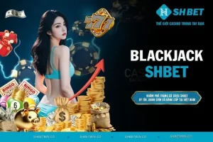 Blackjack - Luật chơi chi tiết dành cho tân thủ mới tham gia