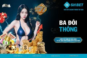 Ba đôi thông có gì đặc biệt? Cách tận dụng hiệu quả