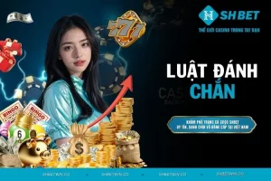 Luật đánh chắn - Chi tiết cách đánh cho những cược thủ