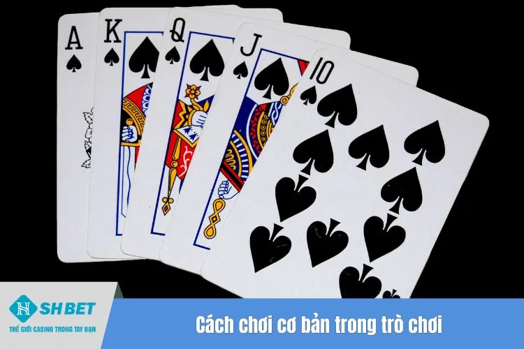 Cách chơi cơ bản trong trò chơi