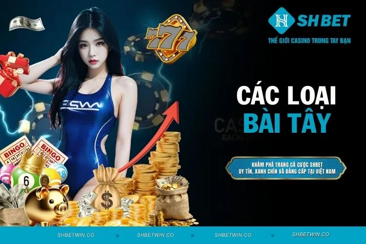 Các loại bài Tây - Tìm hiểu thông tin về bộ bài thú vị này