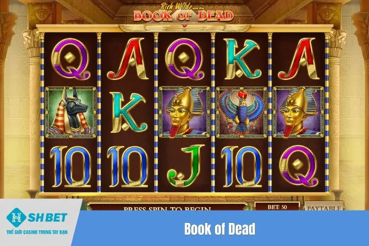 Book of Dead