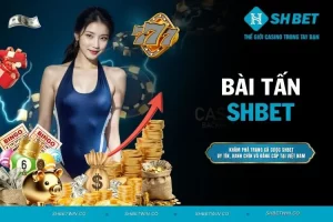 Bài Tấn - Khám phá các luật chơi dễ hiểu cho người mới