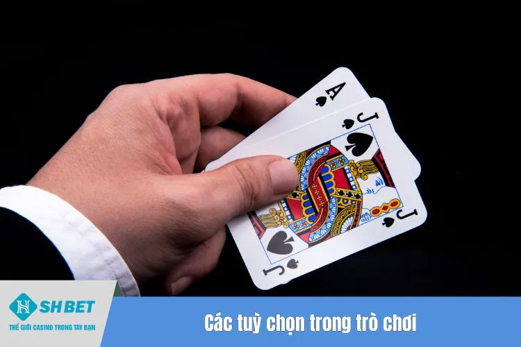 Các tuỳ chọn trong trò chơi
