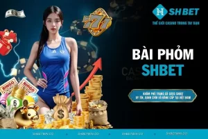 Bài phỏm - Hướng dẫn cách chơi cơ bản cho người mới tham gia
