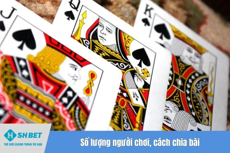 Số lượng người chơi, cách chia bài